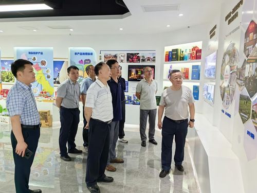 德阳市老科协深入德阳科知公司调研，共促知识产权服务高质量发展